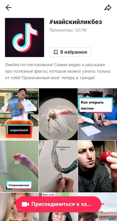 челлендж майскийликбез в тик ток